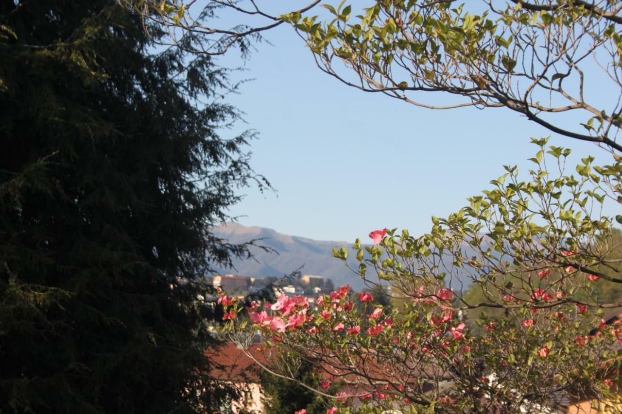 Villa Onorina Carimate Esterno foto